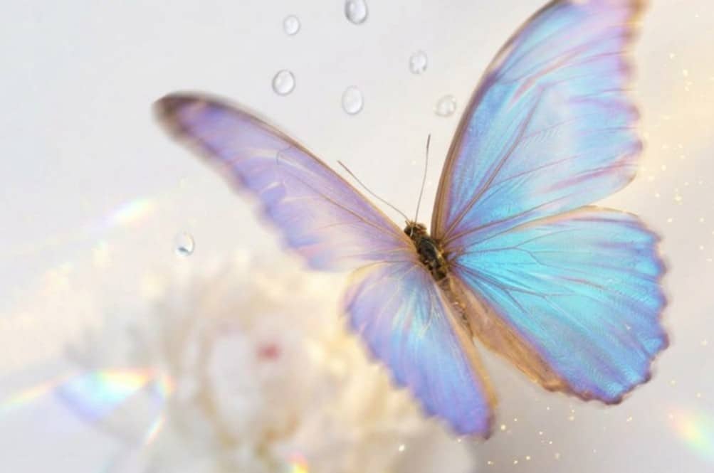 photo 2026 03 06 11 14 30 (2)